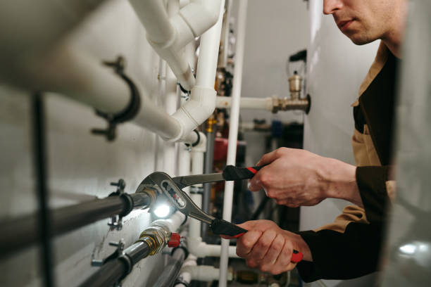 Best Local Plumber Services  in Westby, WI